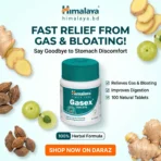 Himalaya Gasex 100 Tablets